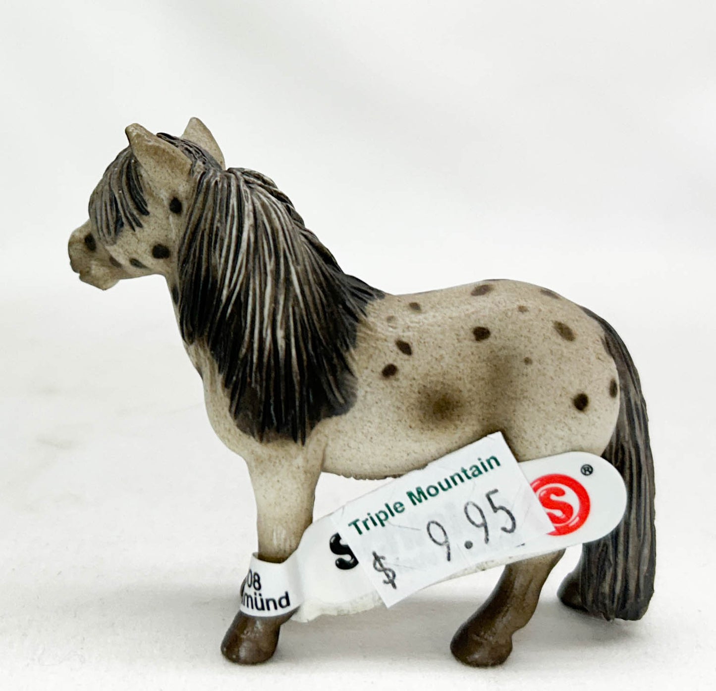 Falabella Gelding, Liver Chestnut Appaloosa