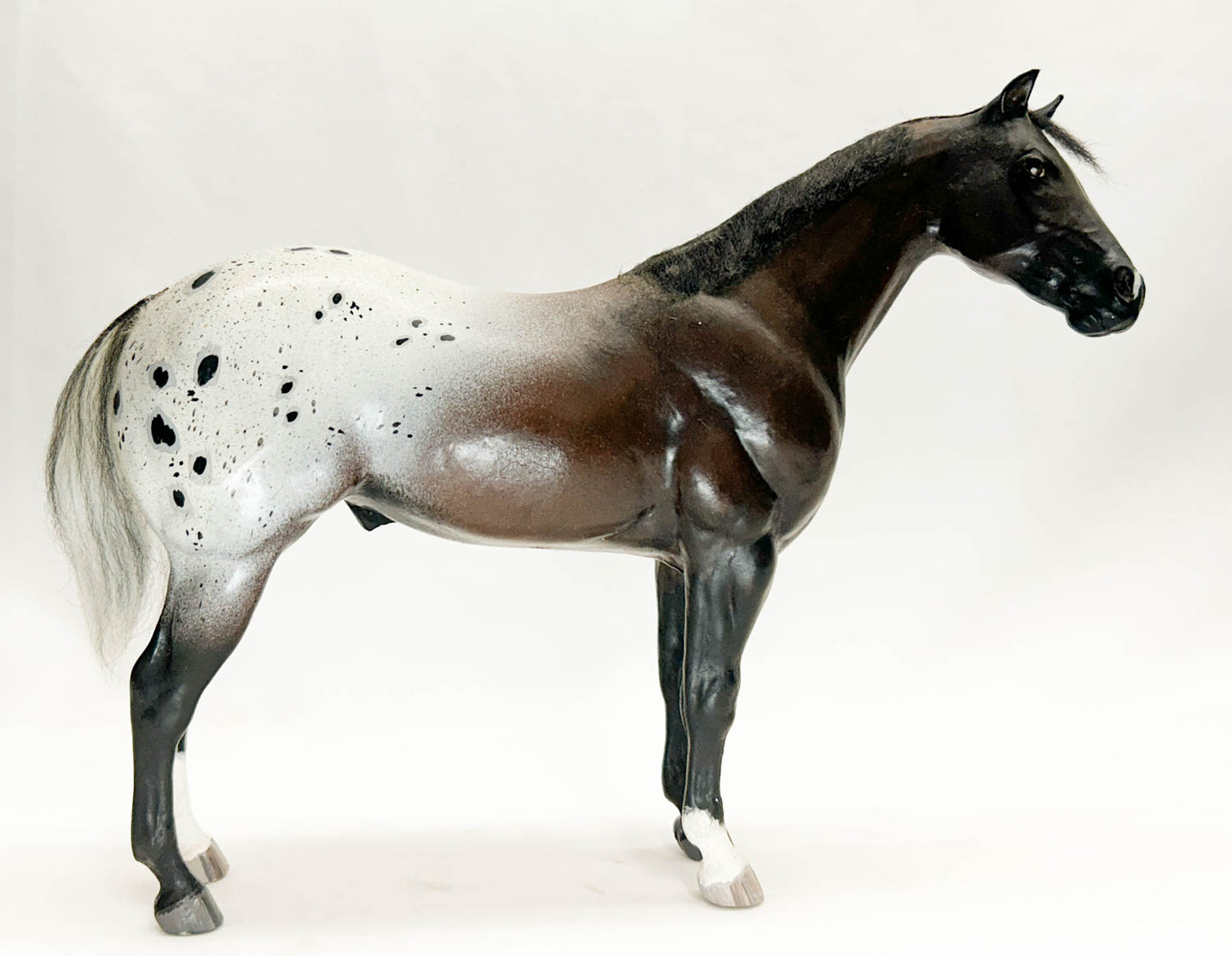 Secretariat ~ Seventh Heaven, Bay Appaloosa - Custom by "JAM"