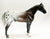 Secretariat ~ Seventh Heaven, Bay Appaloosa - Custom by "JAM"