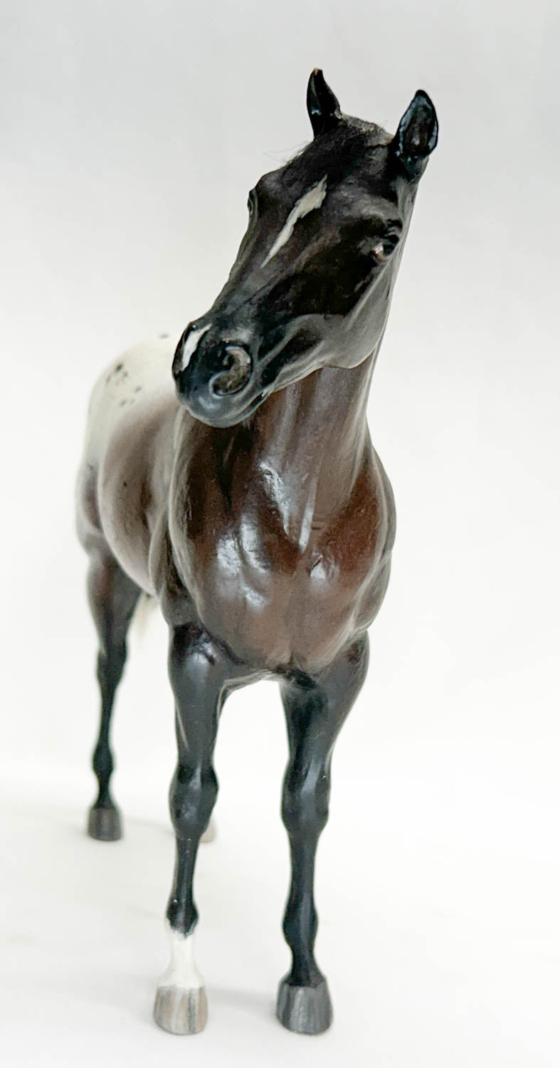 Secretariat ~ Seventh Heaven, Bay Appaloosa - Custom by "JAM"