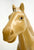Sergio Valente First Edition Palomino