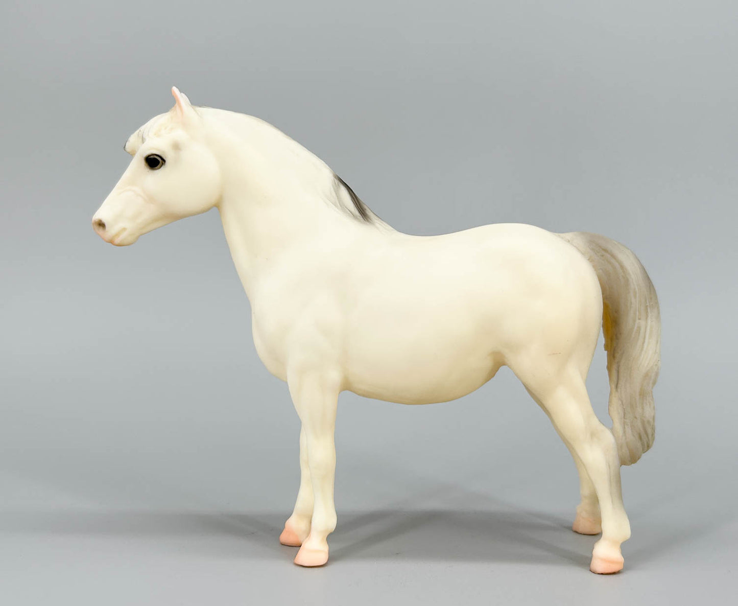 Shetland Pony, Alabaster - Matte