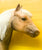 Shetland Pony ~ Liberty