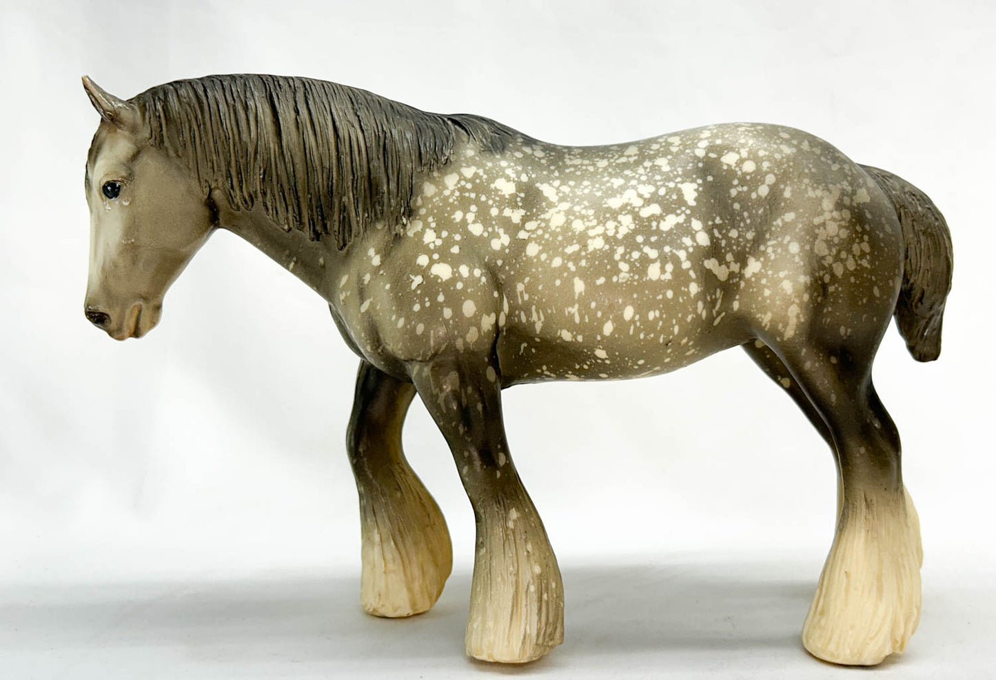 Shire, Dapple Grey