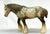 Shire, Dapple Grey