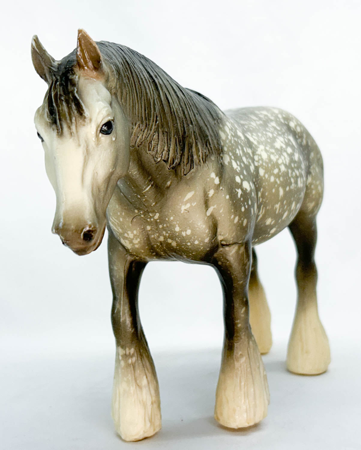Shire, Dapple Grey