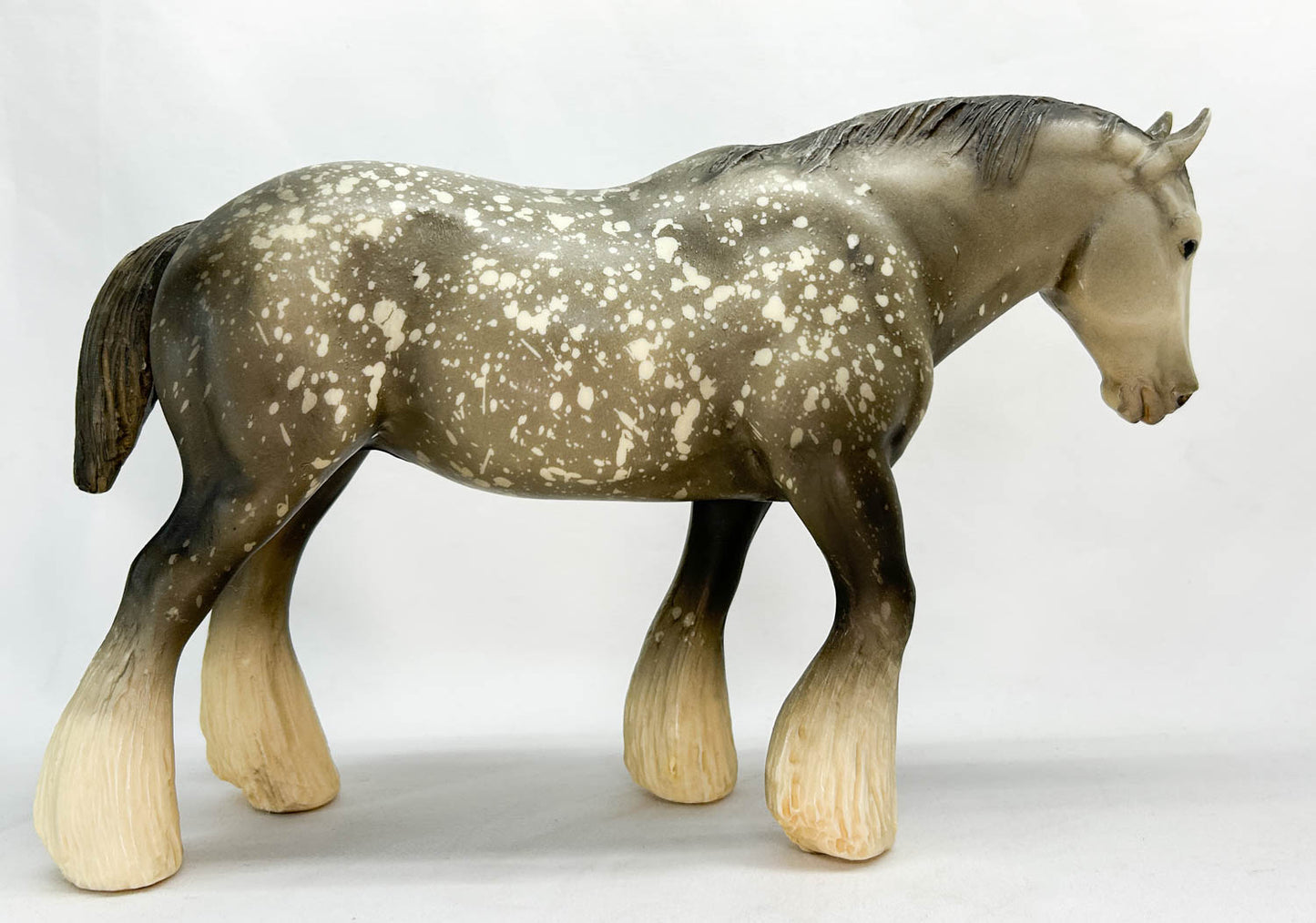 Shire, Dapple Grey