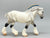 Shire Gelding, Dapple Grey