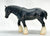 Shire, Black ~ True Black English Shire - Sears SR