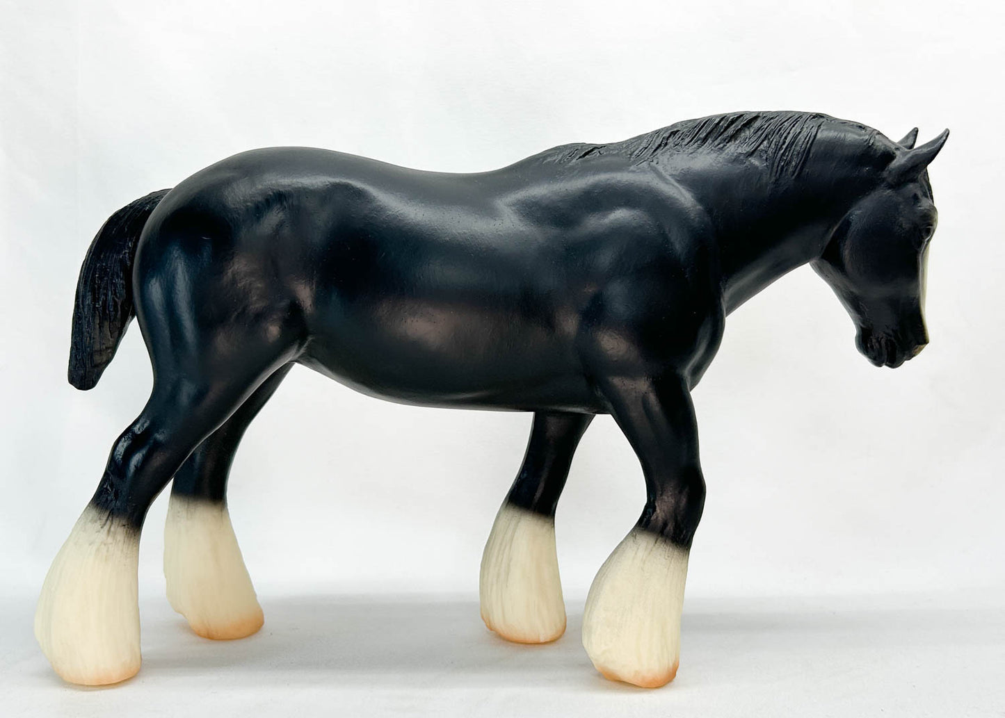 Shire, Black ~ True Black English Shire - Sears SR