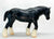 Shire, Black ~ True Black English Shire - Sears SR