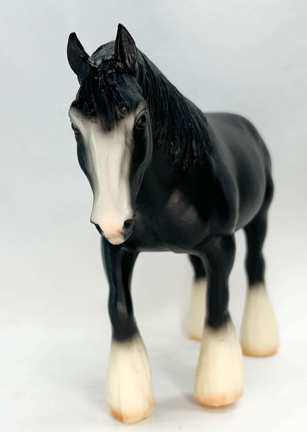 Shire, Black ~ True Black English Shire - Sears SR