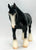 Shire, Black ~ True Black English Shire - Sears SR