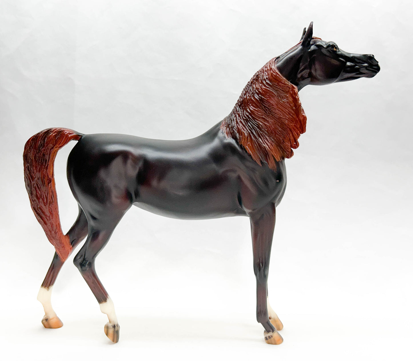 Show Stance Arabian Mare ~ Zafirah - Premier Club 2022