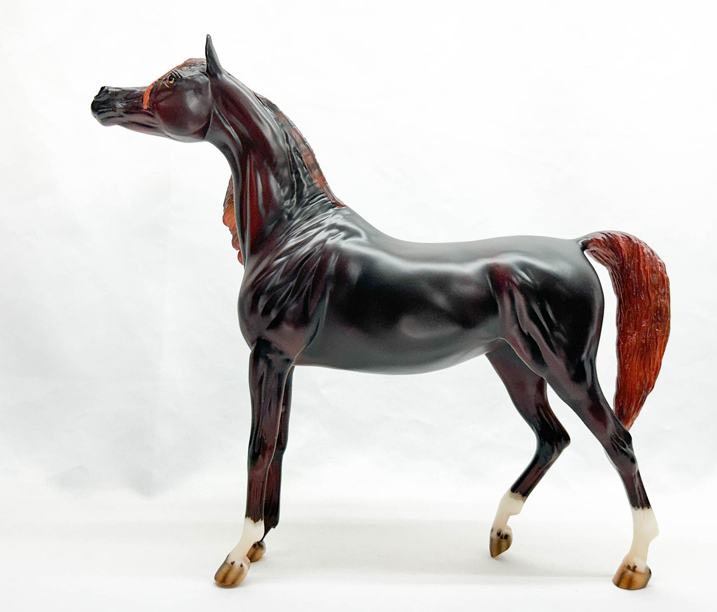 Show Stance Arabian Mare ~ Zafirah - Premier Club 2022