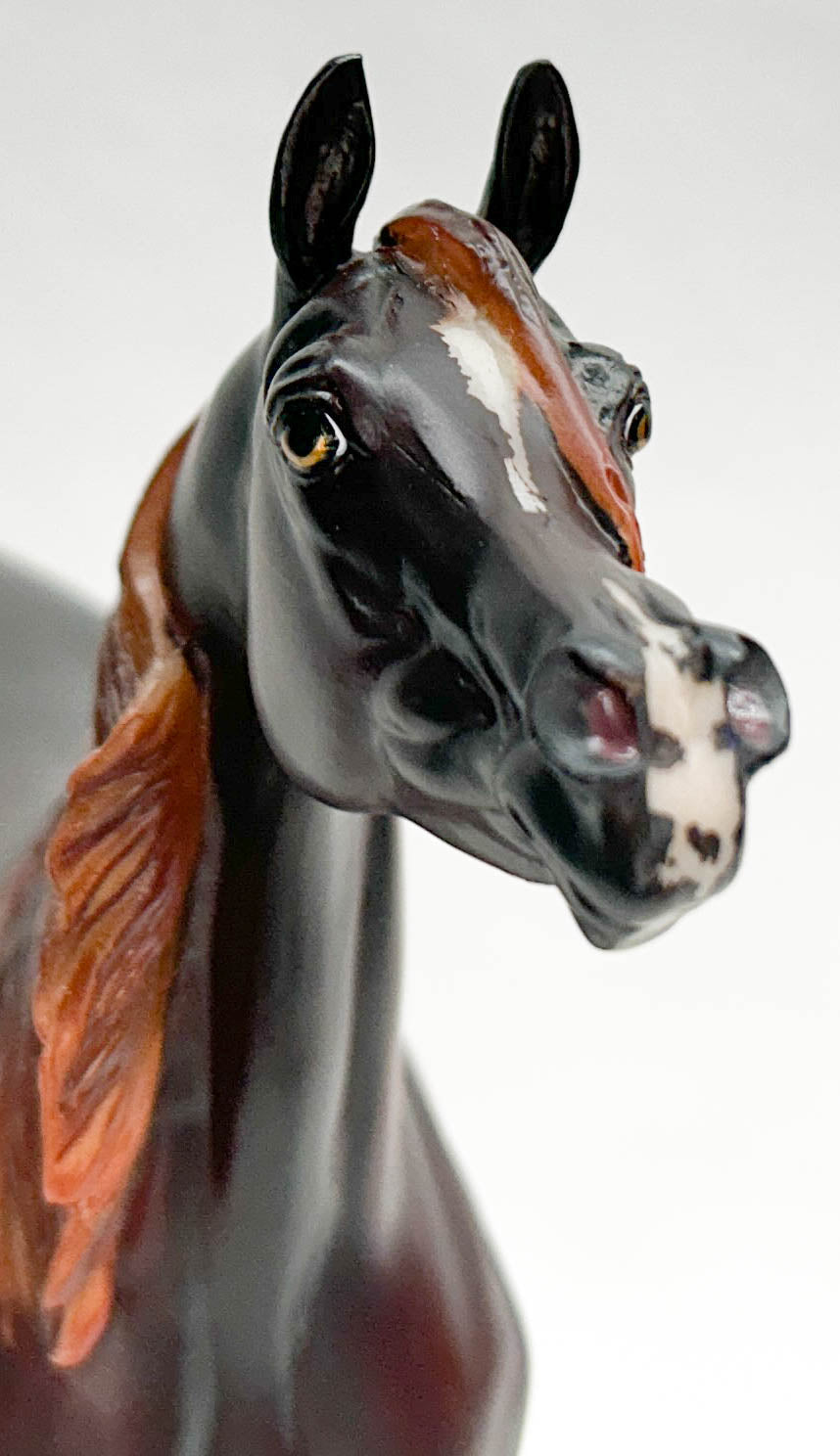 Show Stance Arabian Mare ~ Zafirah - Premier Club 2022