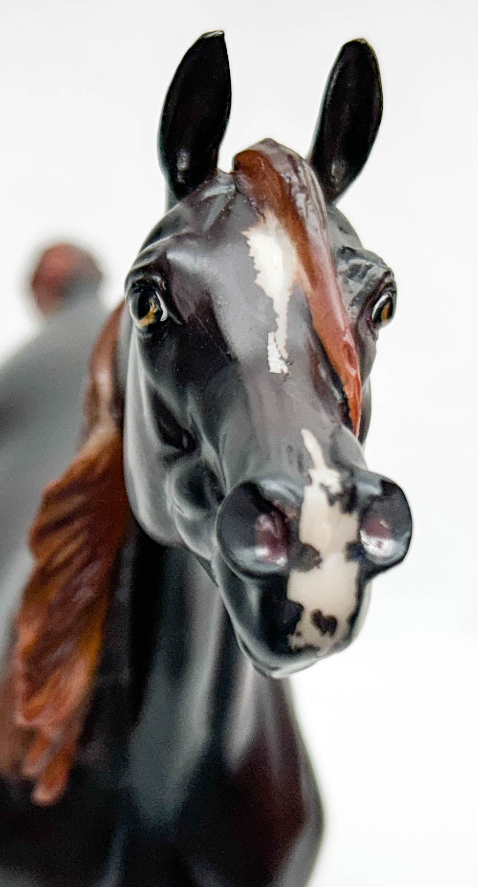 Show Stance Arabian Mare ~ Zafirah - Premier Club 2022