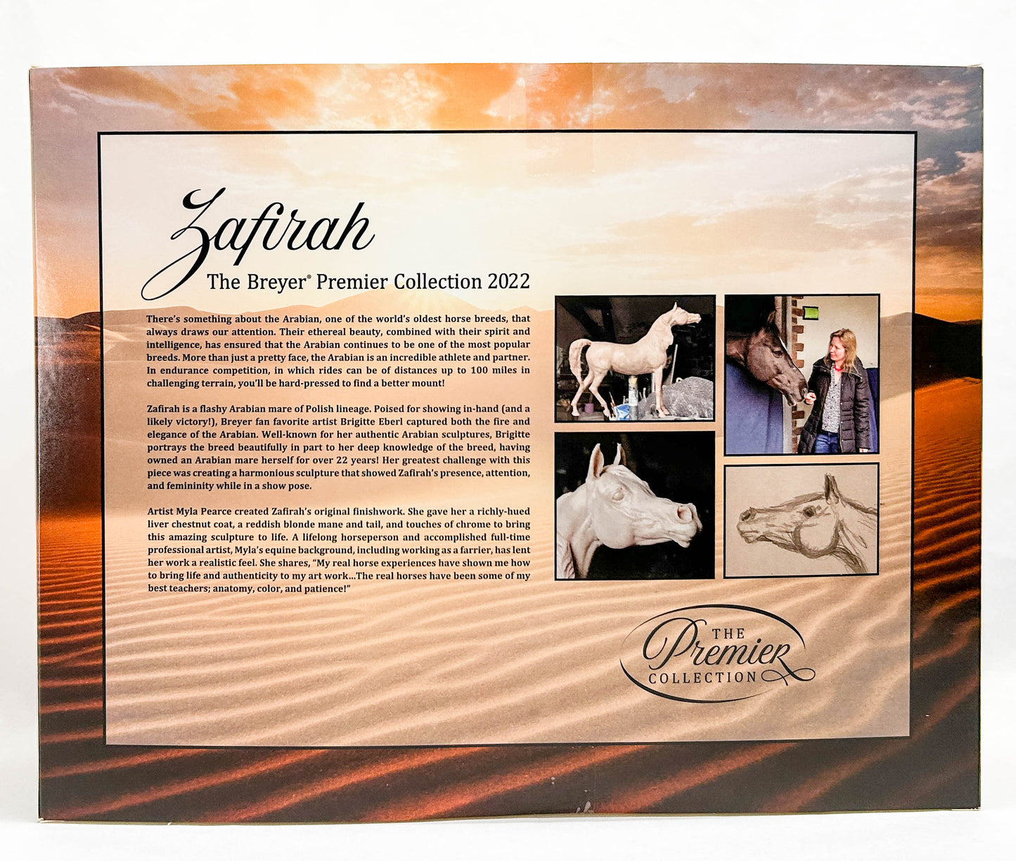 Show Stance Arabian Mare ~ Zafirah - Premier Club 2022