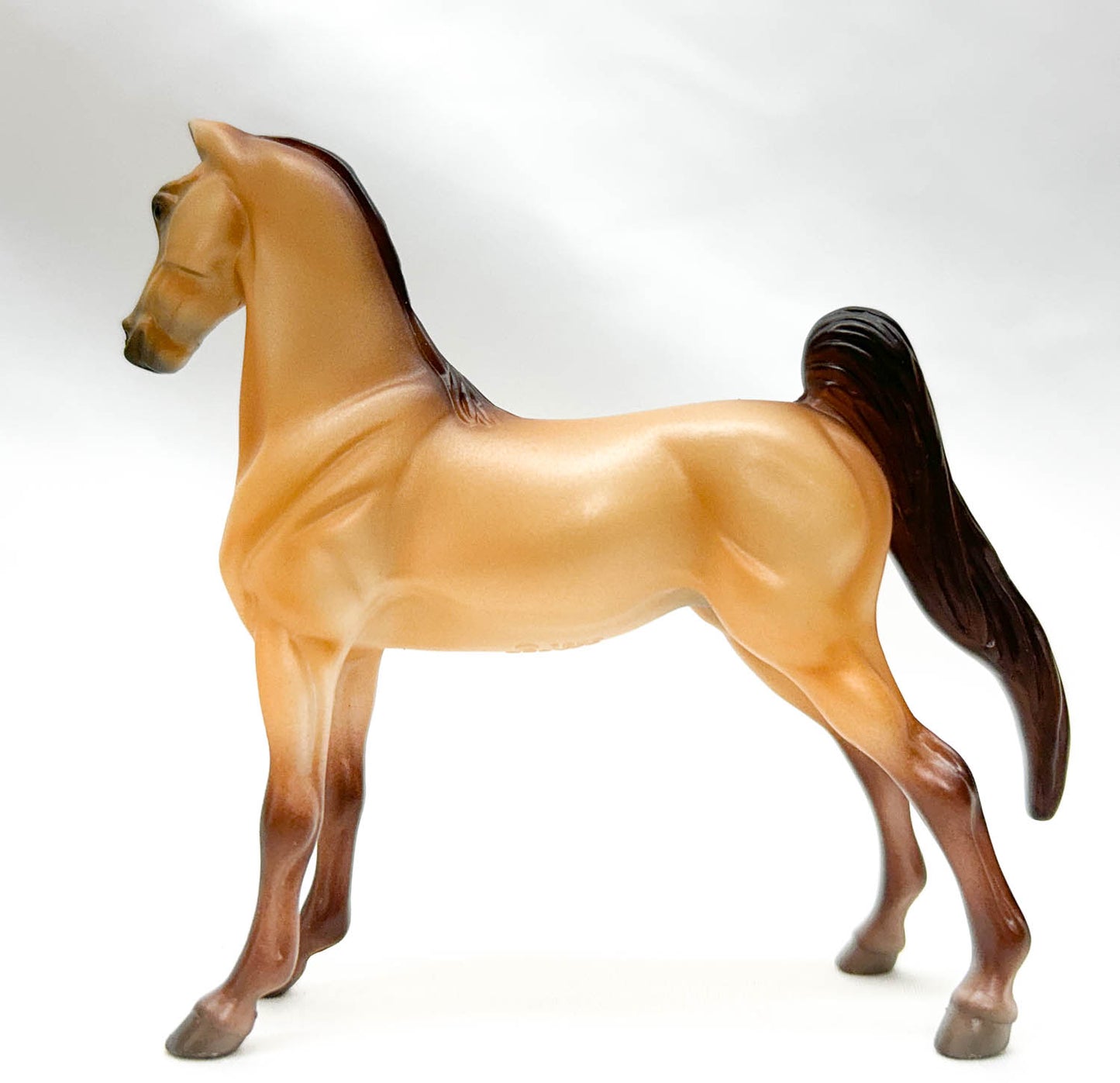 American Saddlebred, Buckskin - TSC Blind Bags 2024