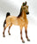 American Saddlebred, Buckskin - TSC Blind Bags 2024