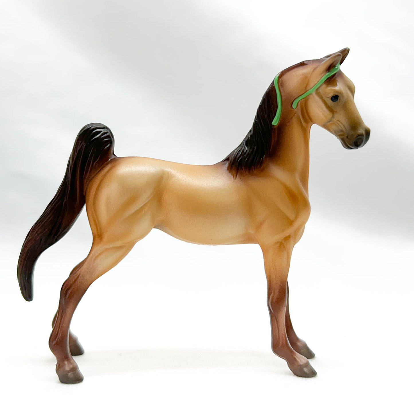 American Saddlebred, Buckskin - TSC Blind Bags 2024