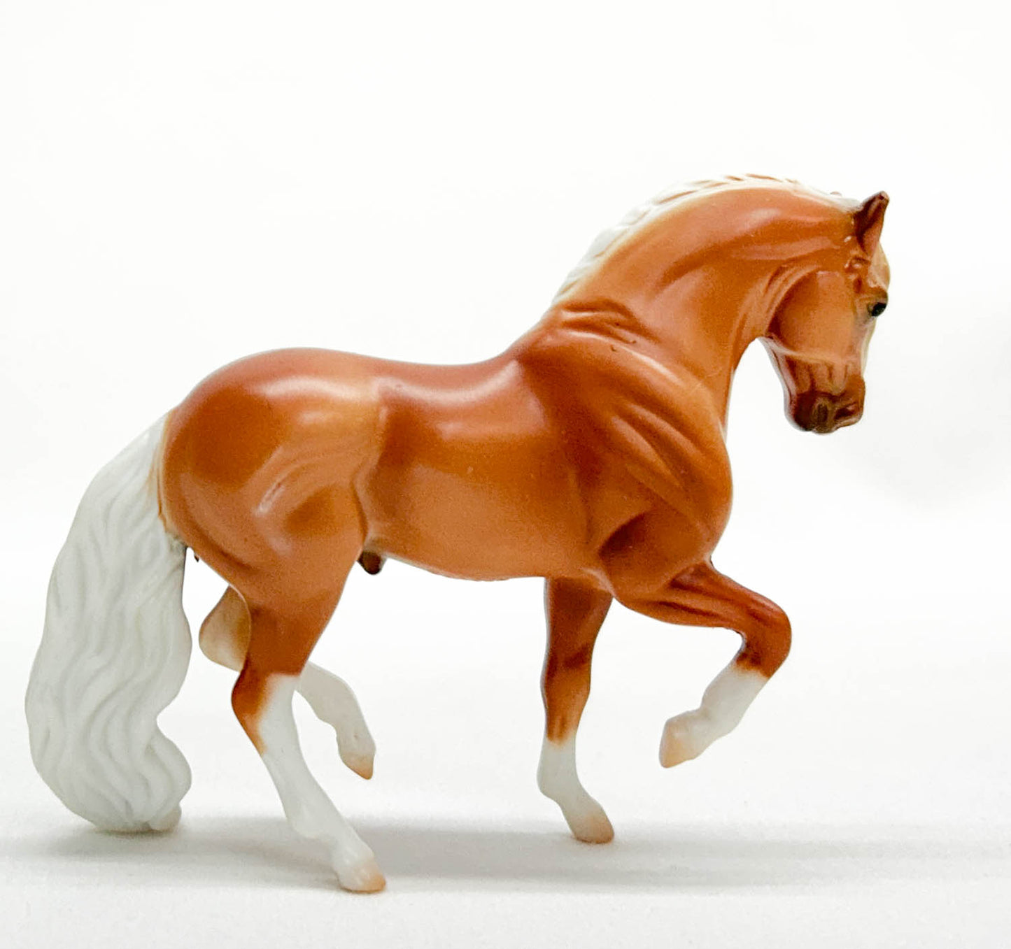 Andalusian ~ Tucker - Horses of Graceland