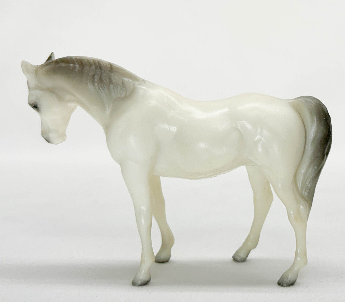 Arabian Mare, Alabaster - Glossy / Semi-gloss