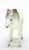 Arabian Mare, Alabaster - Glossy / Semi-gloss