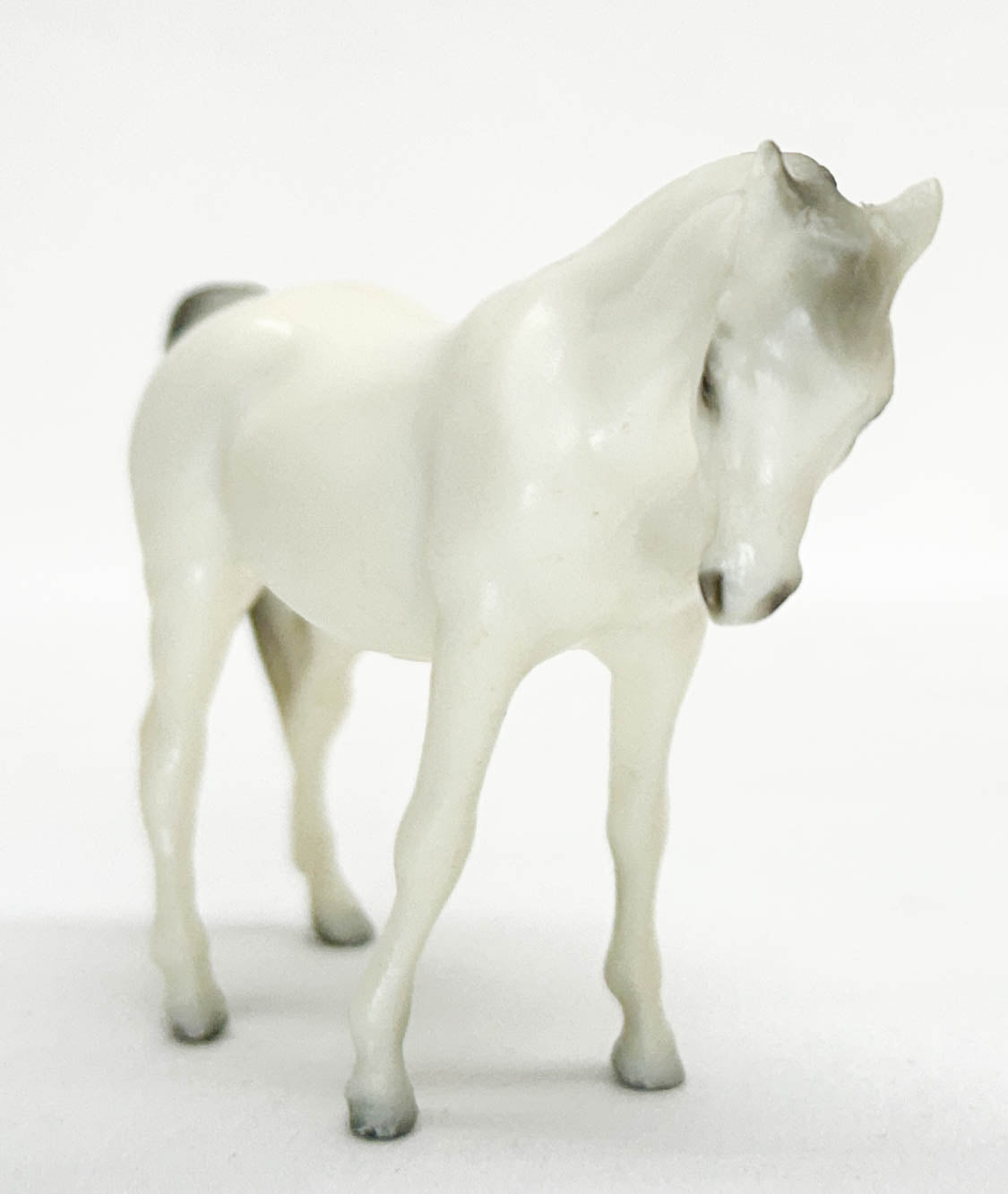 Arabian Mare, Alabaster - Glossy / Semi-gloss