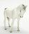 Arabian Mare, Alabaster - Glossy / Semi-gloss