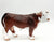 Bull, Hereford