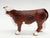 Bull, Hereford