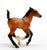 Cantering Foal, Dun