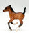 Cantering Foal, Dun