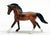 Cantering Warmblood, Bay