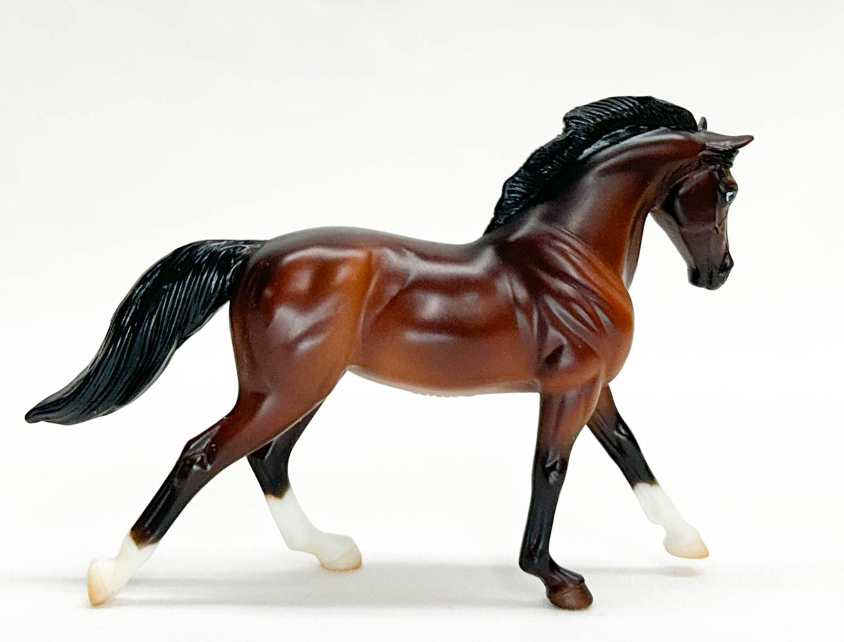 Cantering Warmblood, Bay