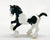Clydesdale, Black Pinto