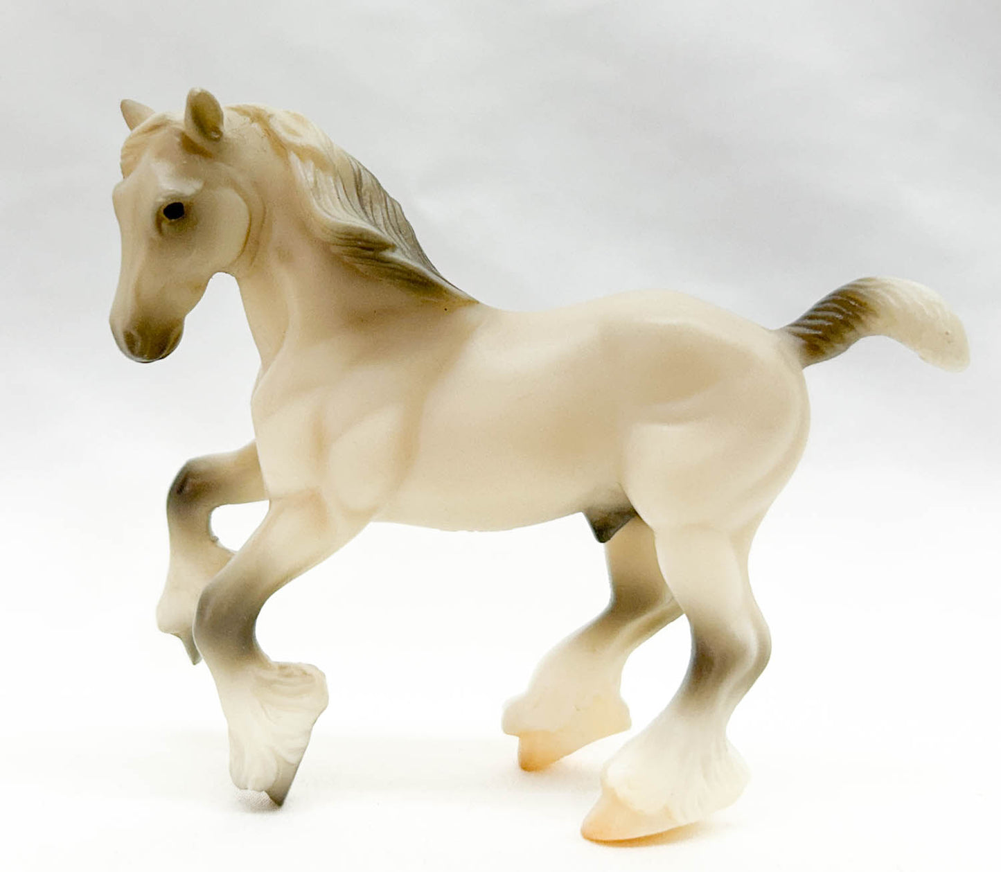 Clydesdale, Light Grey