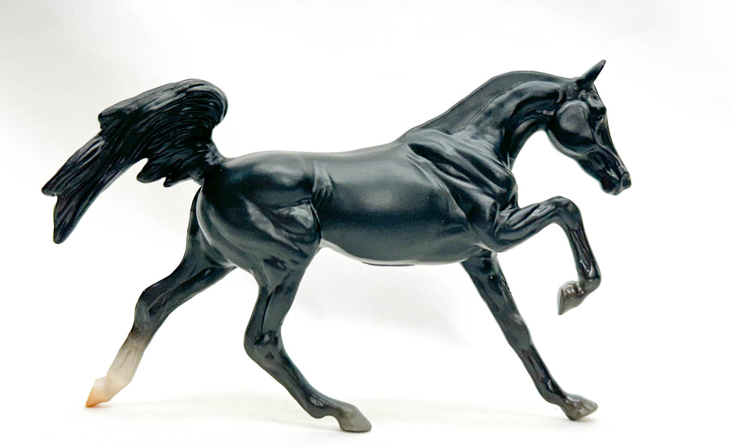 Darley Arabian, Black