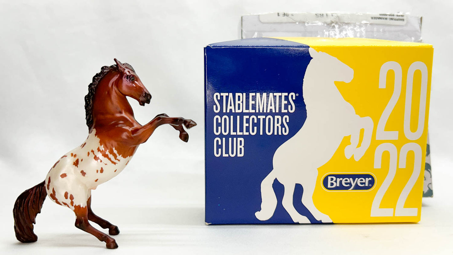 Fighting Stallion ~ Dax - 2022 SM Club