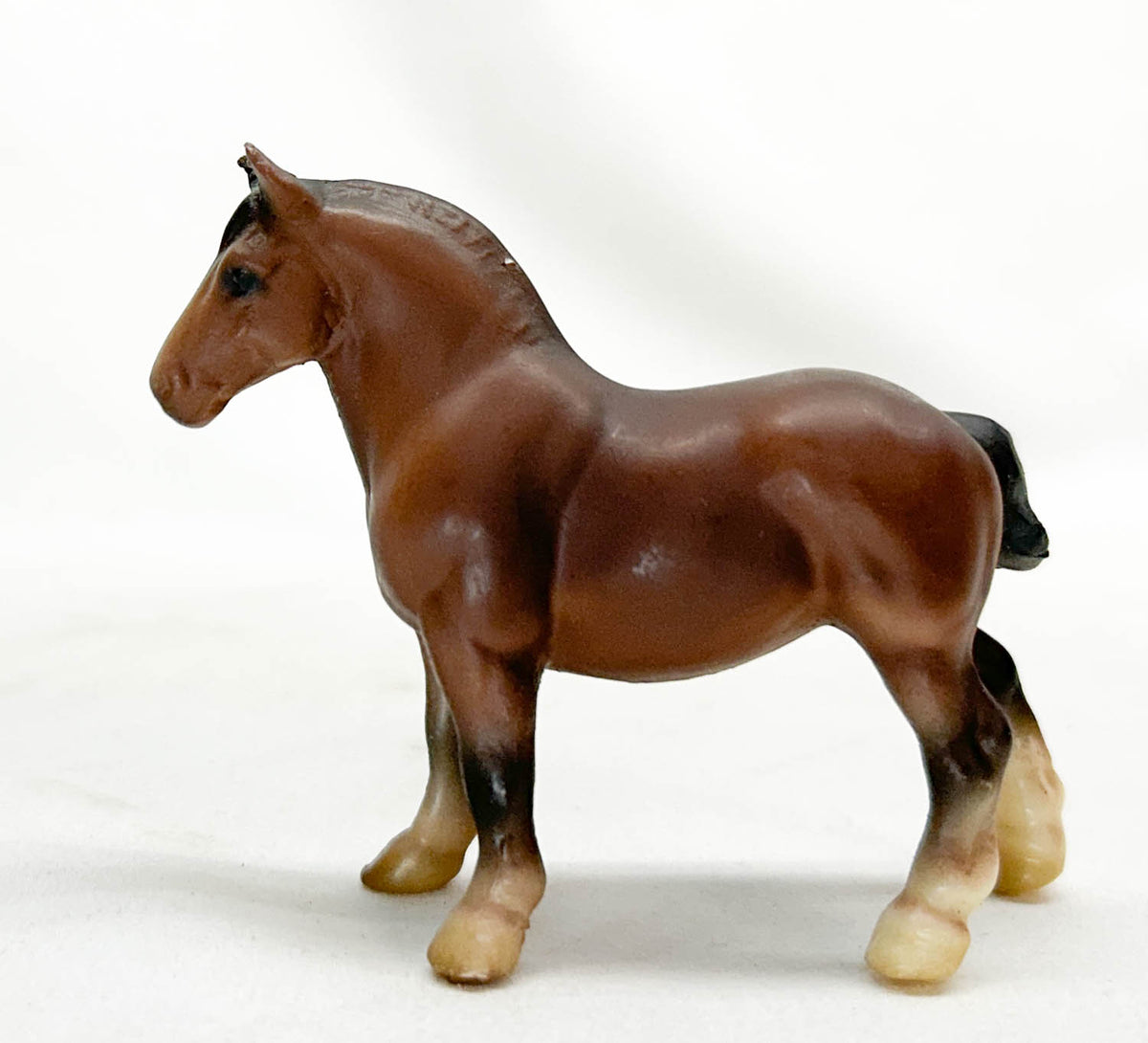 G1 Draft Horse, Rose Bay