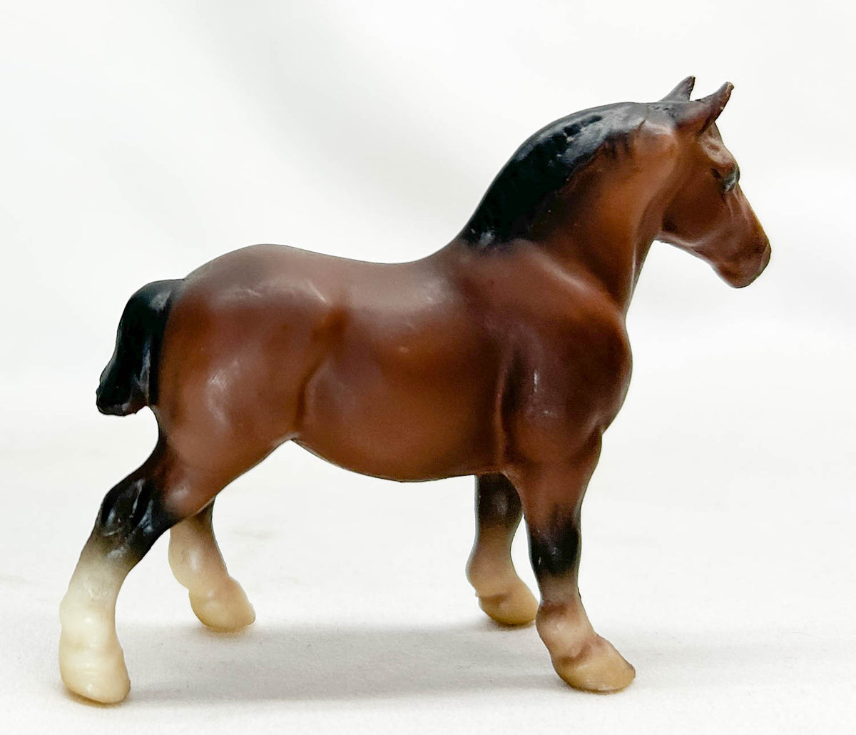 G1 Draft Horse, Rose Bay
