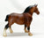 G1 Draft Horse, Rose Bay