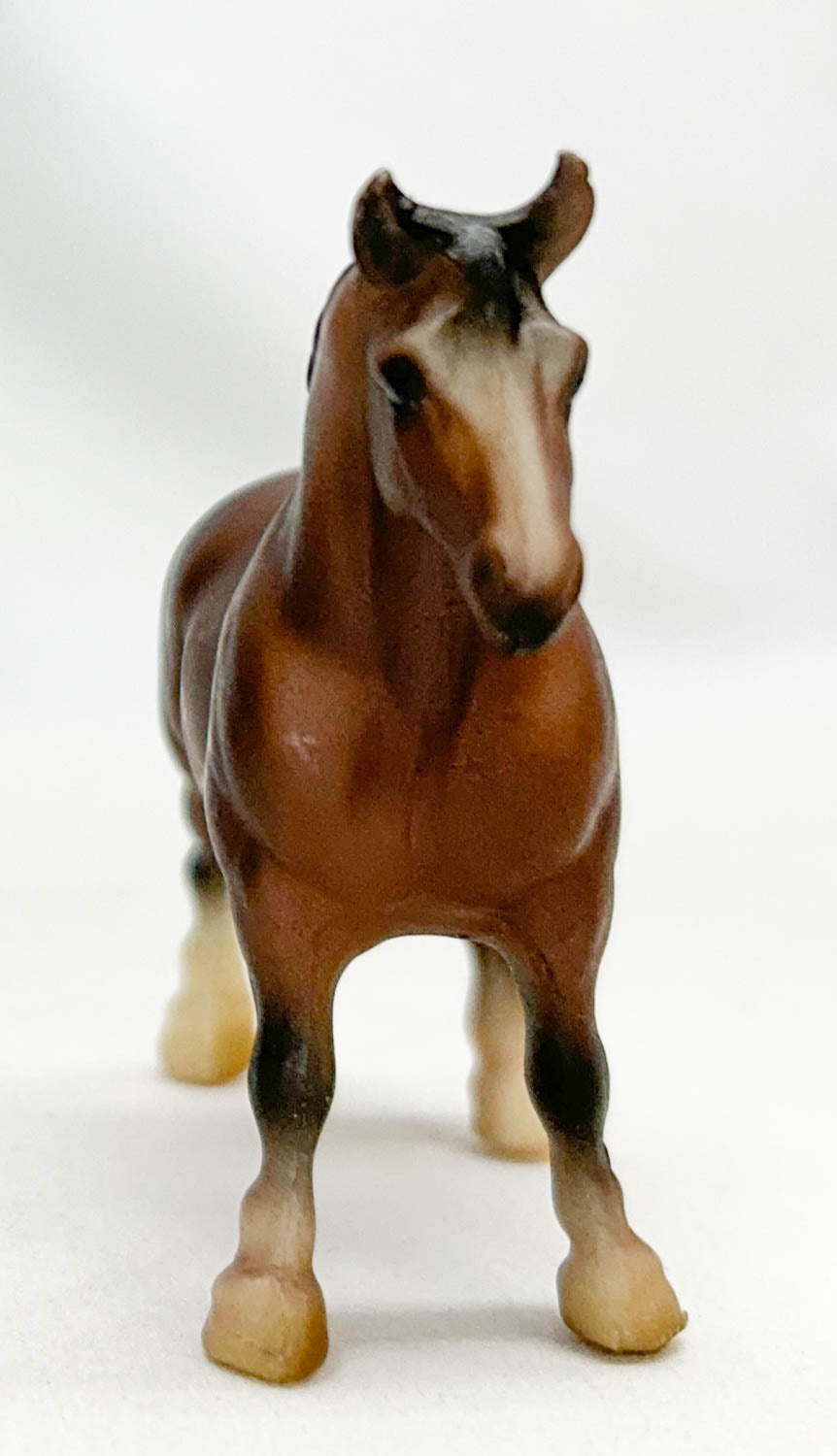 G1 Draft Horse, Rose Bay