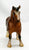 G1 Draft Horse, Rose Bay