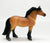 Highland Pony, Dun
