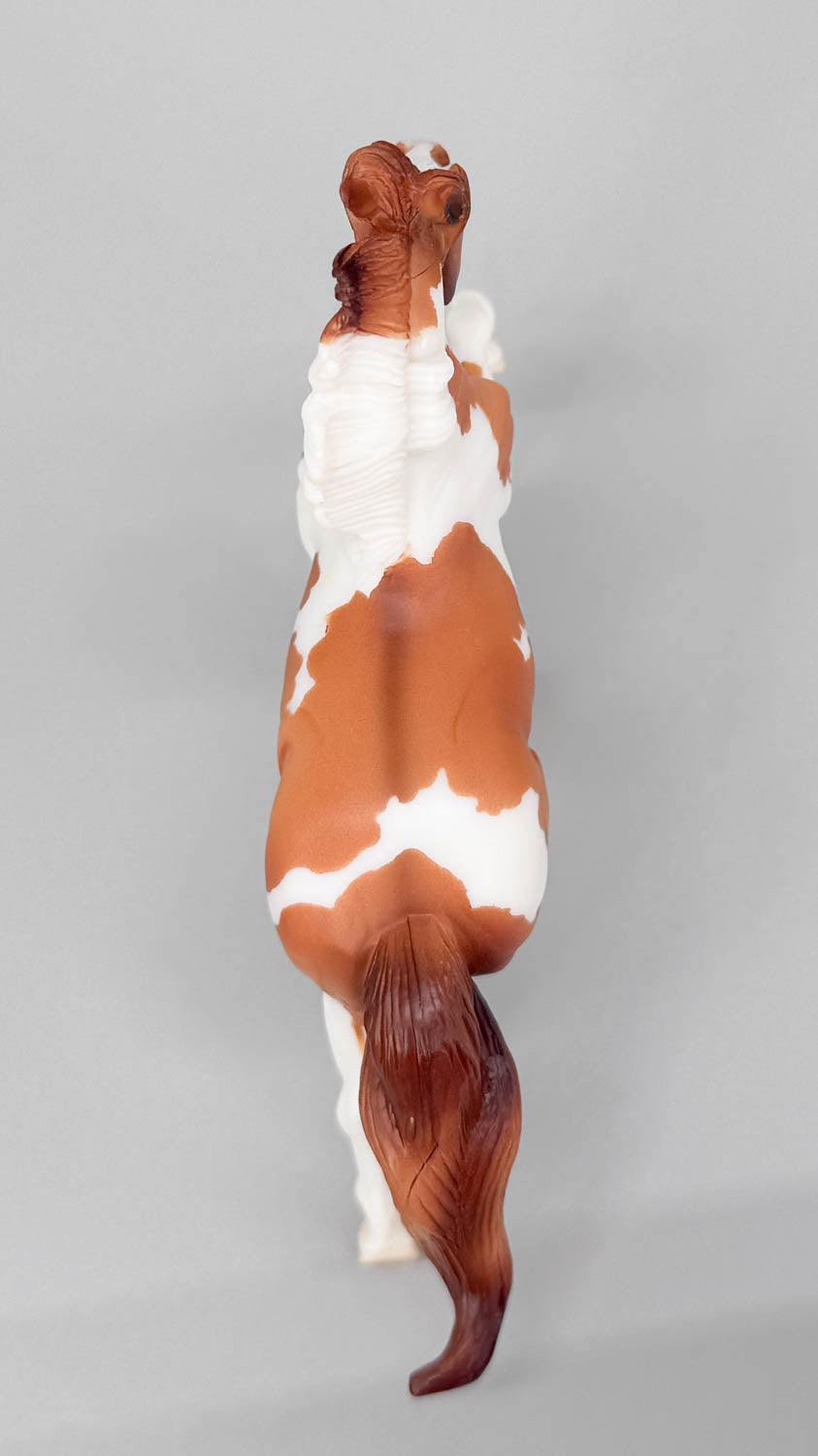 Icelandic ~ Hygge, Red Dun - BreyerFest 2026 SR
