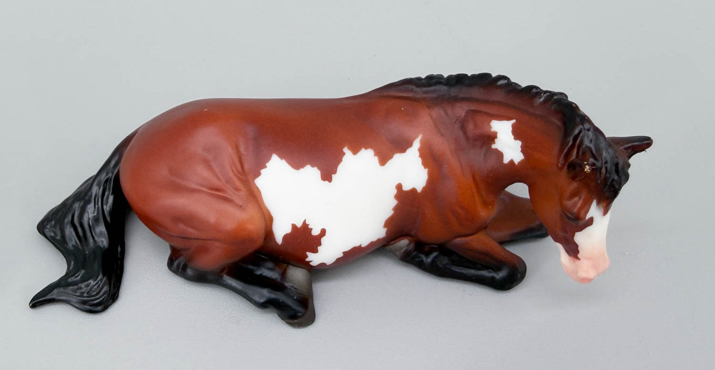 Lying Stock Horse, Bay Pinto - TSC SR, Mystery Horse Surprise Series 8
