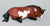 Lying Stock Horse, Bay Pinto - TSC SR, Mystery Horse Surprise Series 8