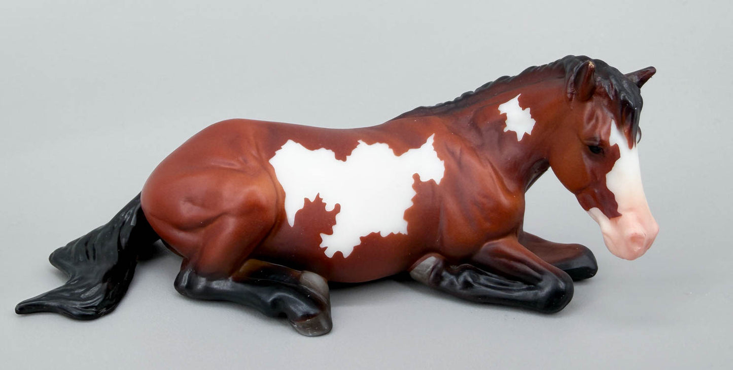Lying Stock Horse, Bay Pinto - TSC SR, Mystery Horse Surprise Series 8